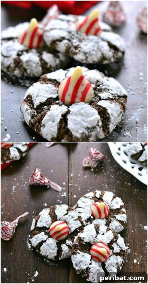 Holiday Cookie Bliss: Sweet Recipes for a Joyful Season 16 Chocolate Peppermint Blossom Cookies
