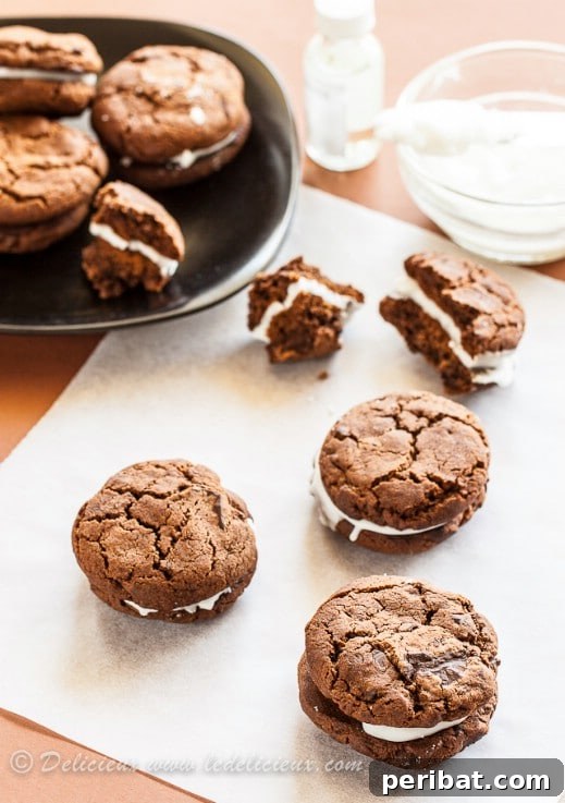 Holiday Cookie Bliss: Sweet Recipes for a Joyful Season 17 Chocolate And Peppermint Sandwich Cookies