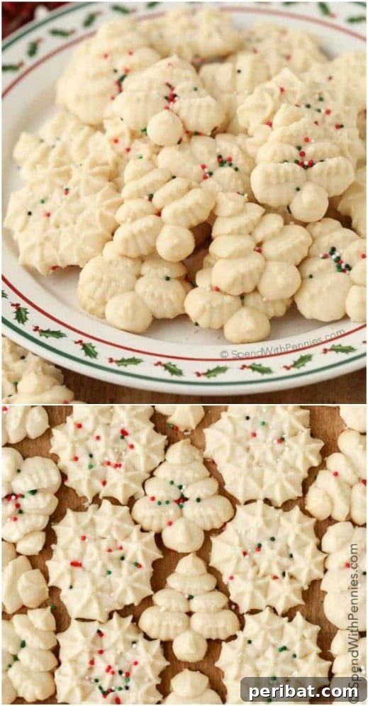 Holiday Cookie Bliss: Sweet Recipes for a Joyful Season 25 Easy Cookie Press Shortbread Cookies