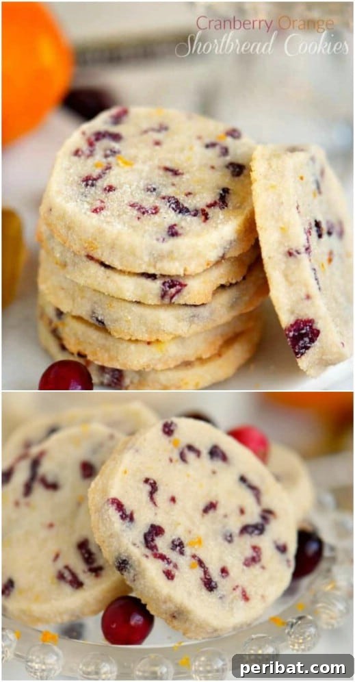 Holiday Cookie Bliss: Sweet Recipes for a Joyful Season 26 Cranberry And Orange Shortbread Cookies