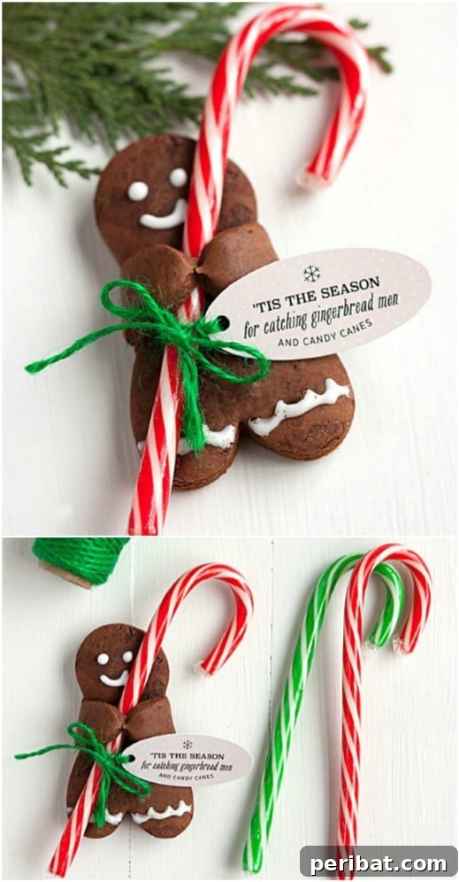 Holiday Cookie Bliss: Sweet Recipes for a Joyful Season 33 Candy Cane Holder Cookies