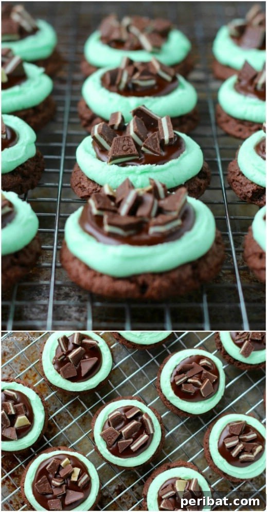 Holiday Cookie Bliss: Sweet Recipes for a Joyful Season 36 Yummy Mint Grasshopper Cookies