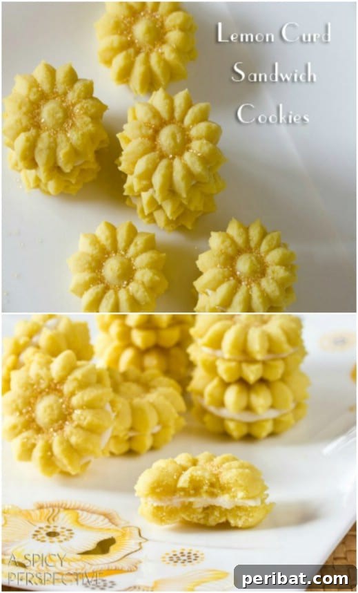 Holiday Cookie Bliss: Sweet Recipes for a Joyful Season 40 Homemade Lemon Curd Sandwich Cookies