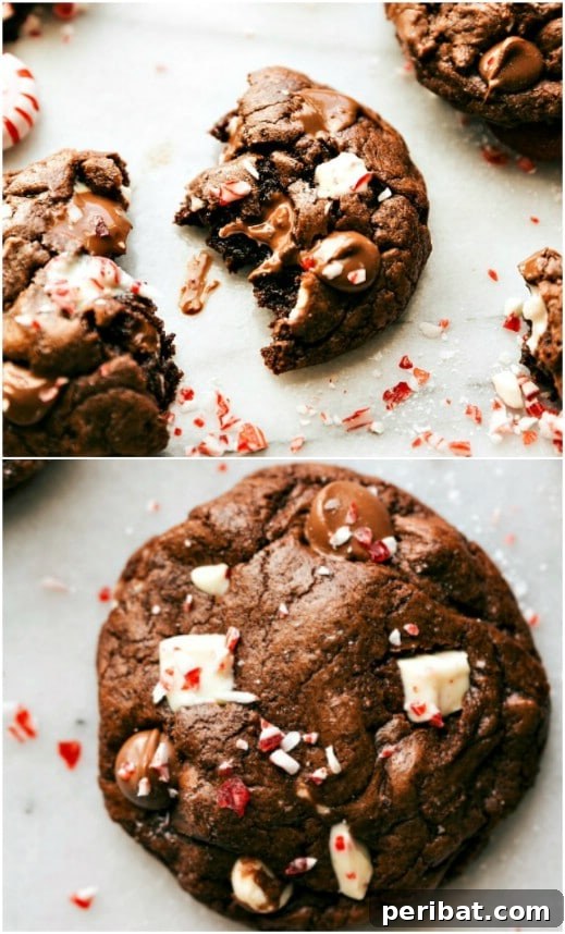 Holiday Cookie Bliss: Sweet Recipes for a Joyful Season 50 Peppermint Bark Brownie Cookies