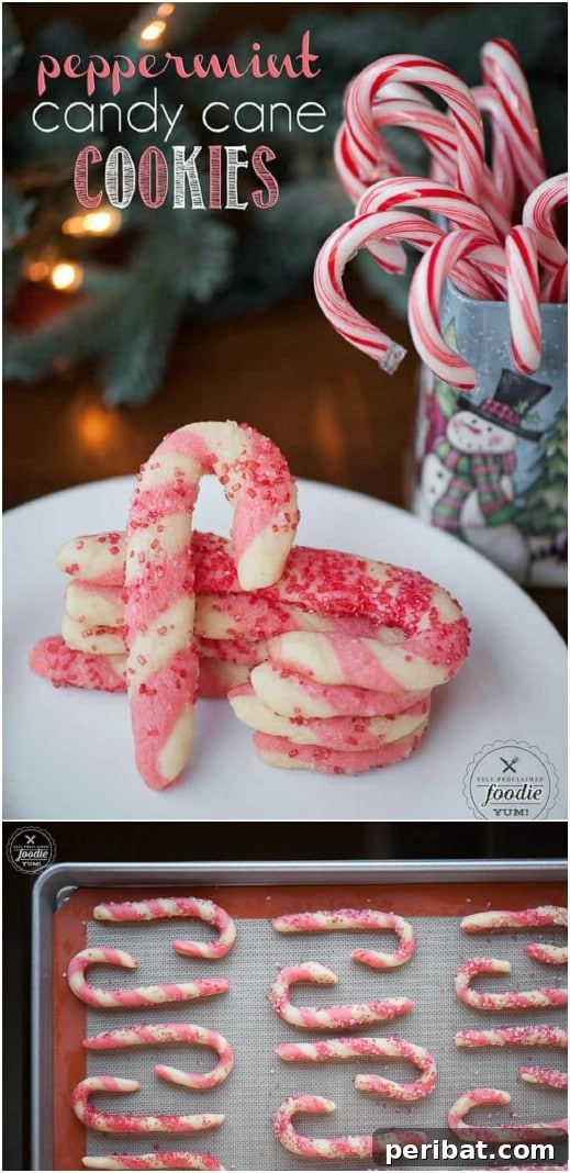 Holiday Cookie Bliss: Sweet Recipes for a Joyful Season 6 Yummy Peppermint Candy Cane Cookies