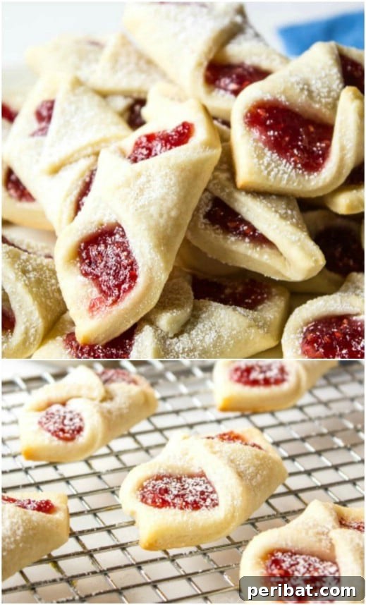 Holiday Cookie Bliss: Sweet Recipes for a Joyful Season 55 Delicious Raspberry Bowtie Christmas Cookies