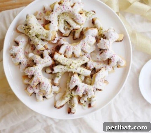 Holiday Cookie Bliss: Sweet Recipes for a Joyful Season 61 Sicilian Christmas Fig Cookies