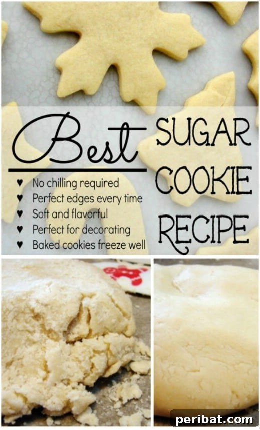 Holiday Cookie Bliss: Sweet Recipes for a Joyful Season 65 Family Favorite Sugar Cookies