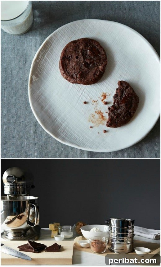 Holiday Cookie Bliss: Sweet Recipes for a Joyful Season 71 Homemade World Peace Cookies