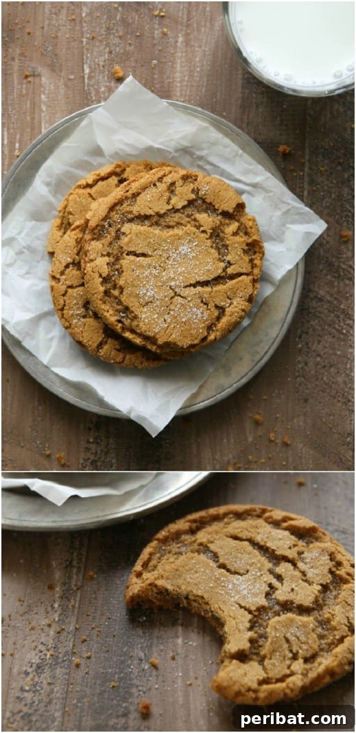 Holiday Cookie Bliss: Sweet Recipes for a Joyful Season 10 Yummy Chewy Gingersnap Cookies