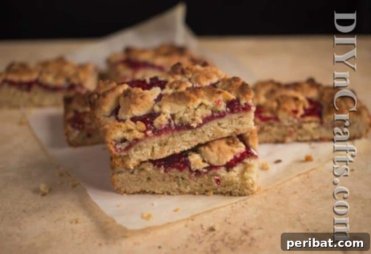 Perfectly baked Peanut Butter Oats Bars, a finished recipe