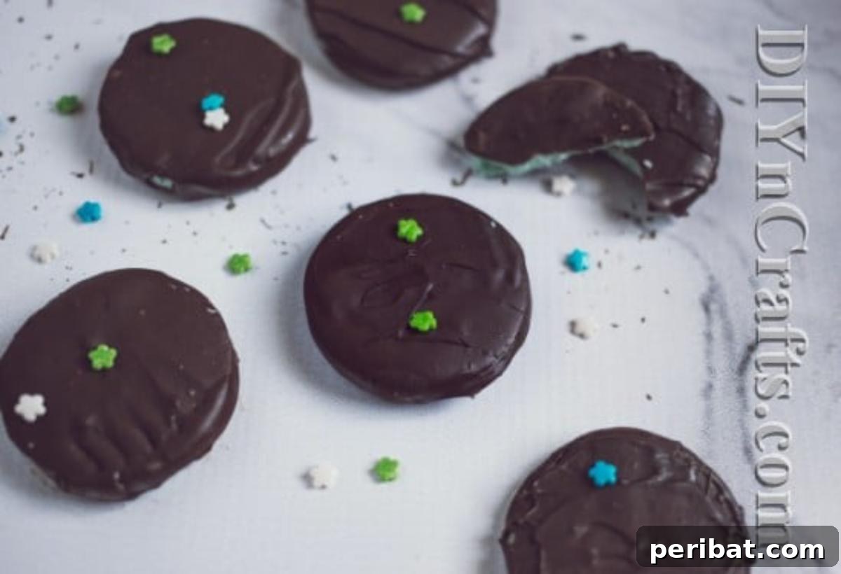 Homemade Peppermint Patties The Ultimate Christmas Sweet Treat 8 Finished homemade peppermint patties recipe