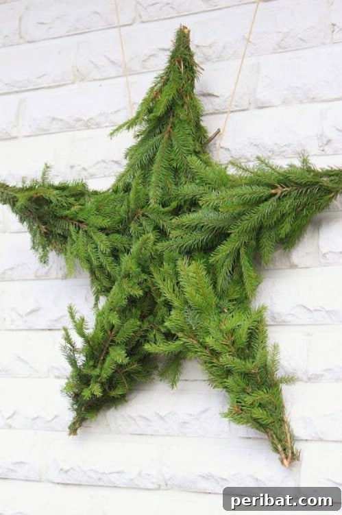 Nature's Touch: Fresh Evergreen Decor for a Festive Christmas 19 DIY Christmas Evergreen Star