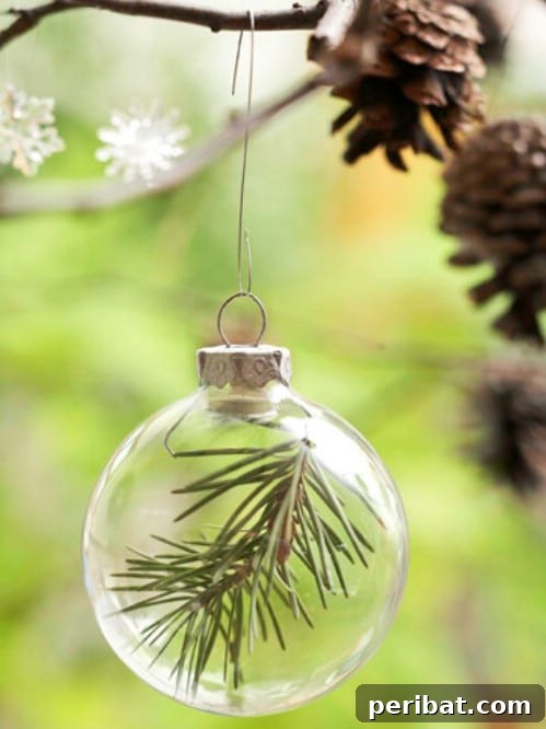 Nature's Touch: Fresh Evergreen Decor for a Festive Christmas 6 Easy DIY Holiday Evergreen Ornament