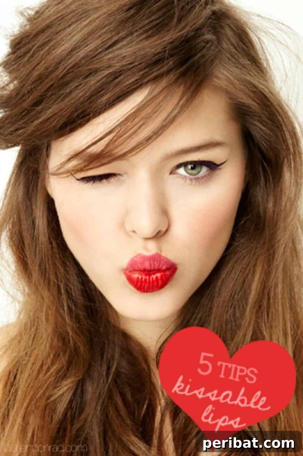 5 kissable lip tips poster.