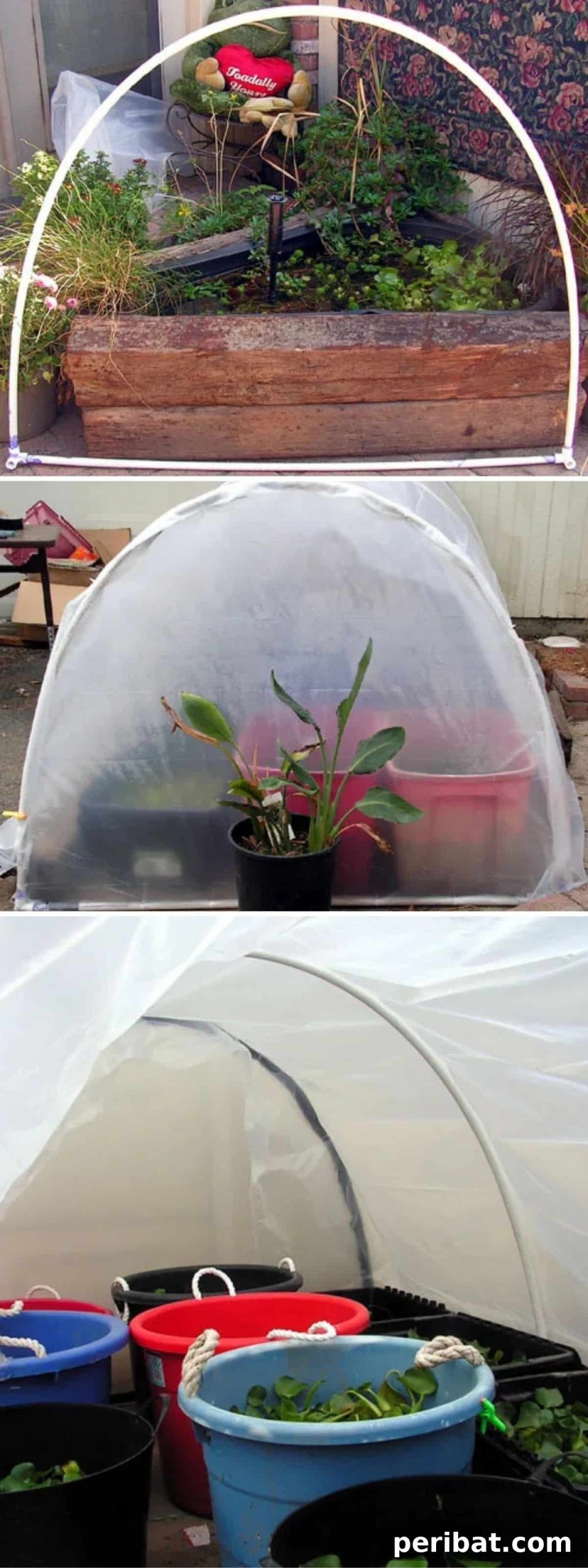 Cheap DIY Greenhouse