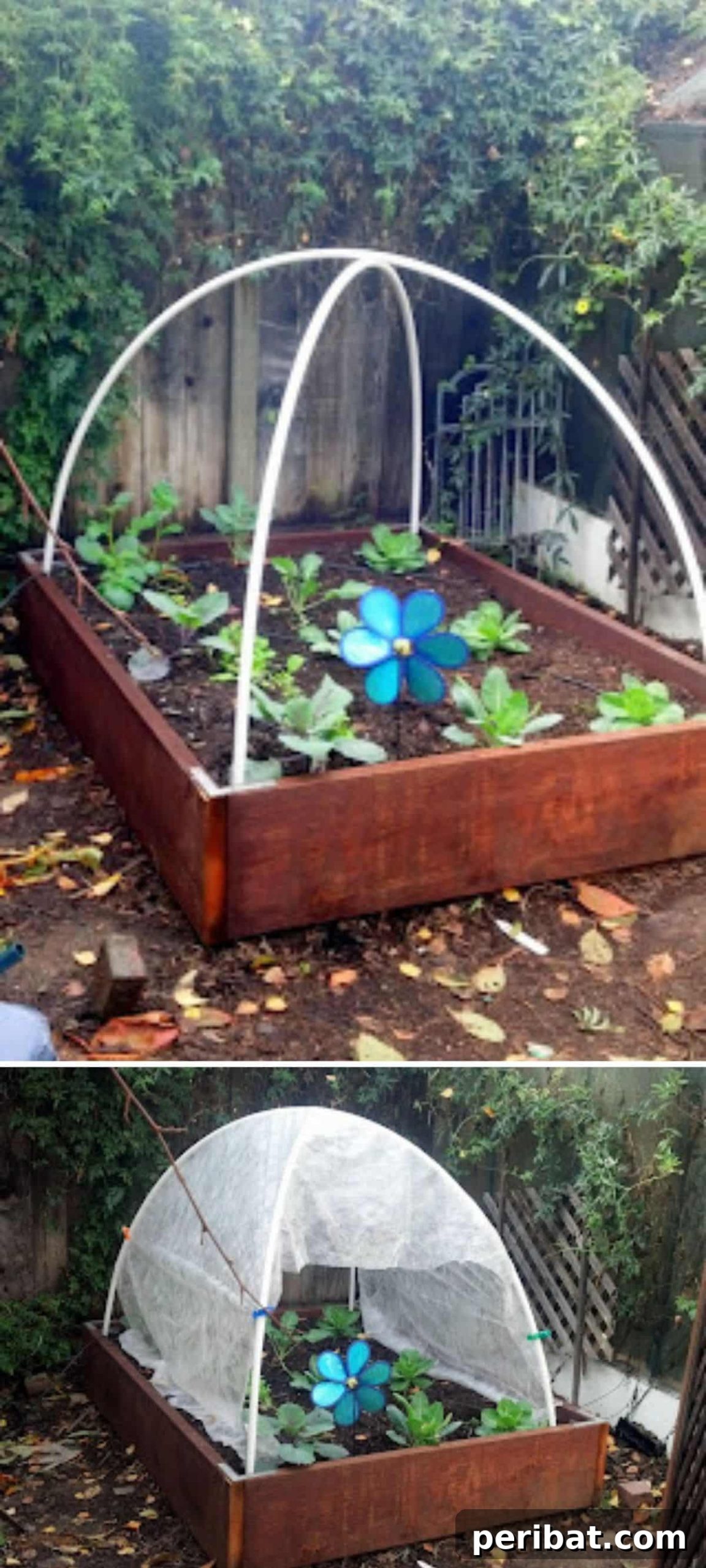 Super Cheap Hoop Style Greenhouse