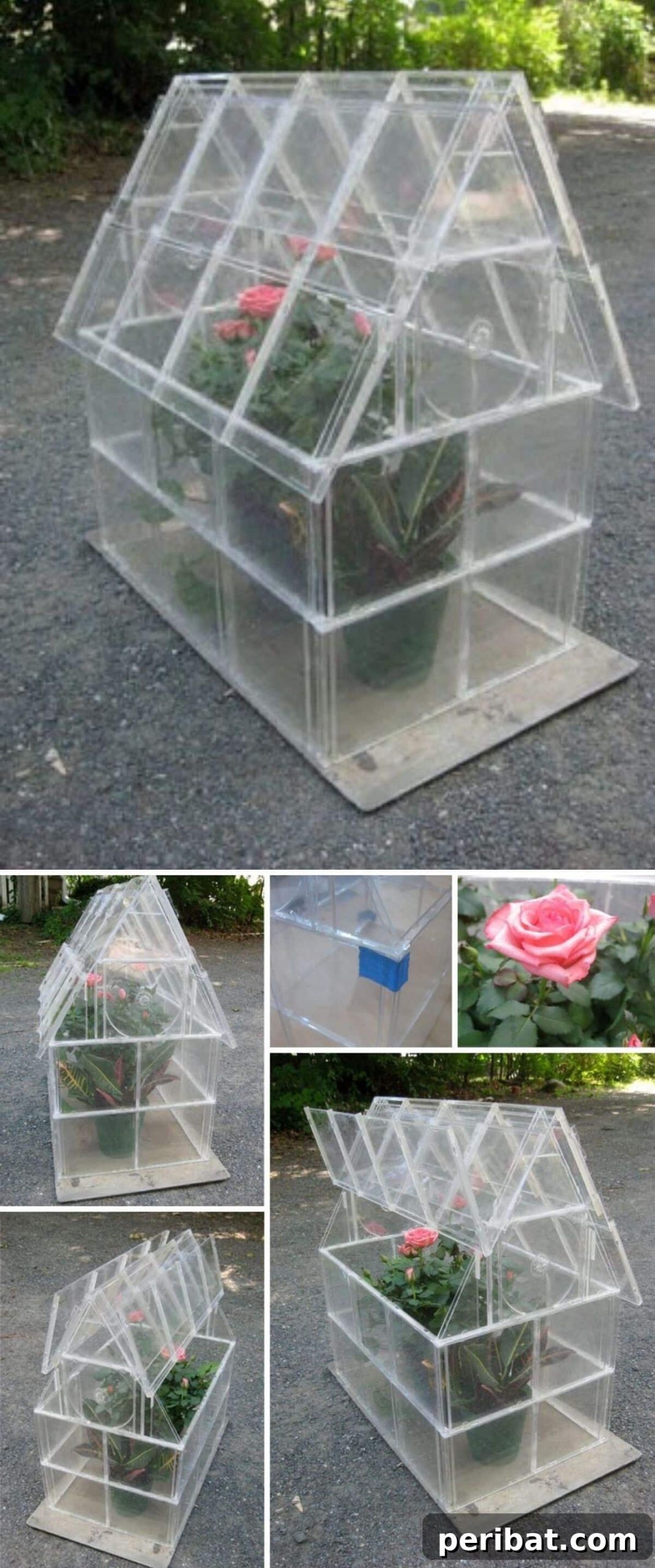 Upcycled CD Case Greenhouse
