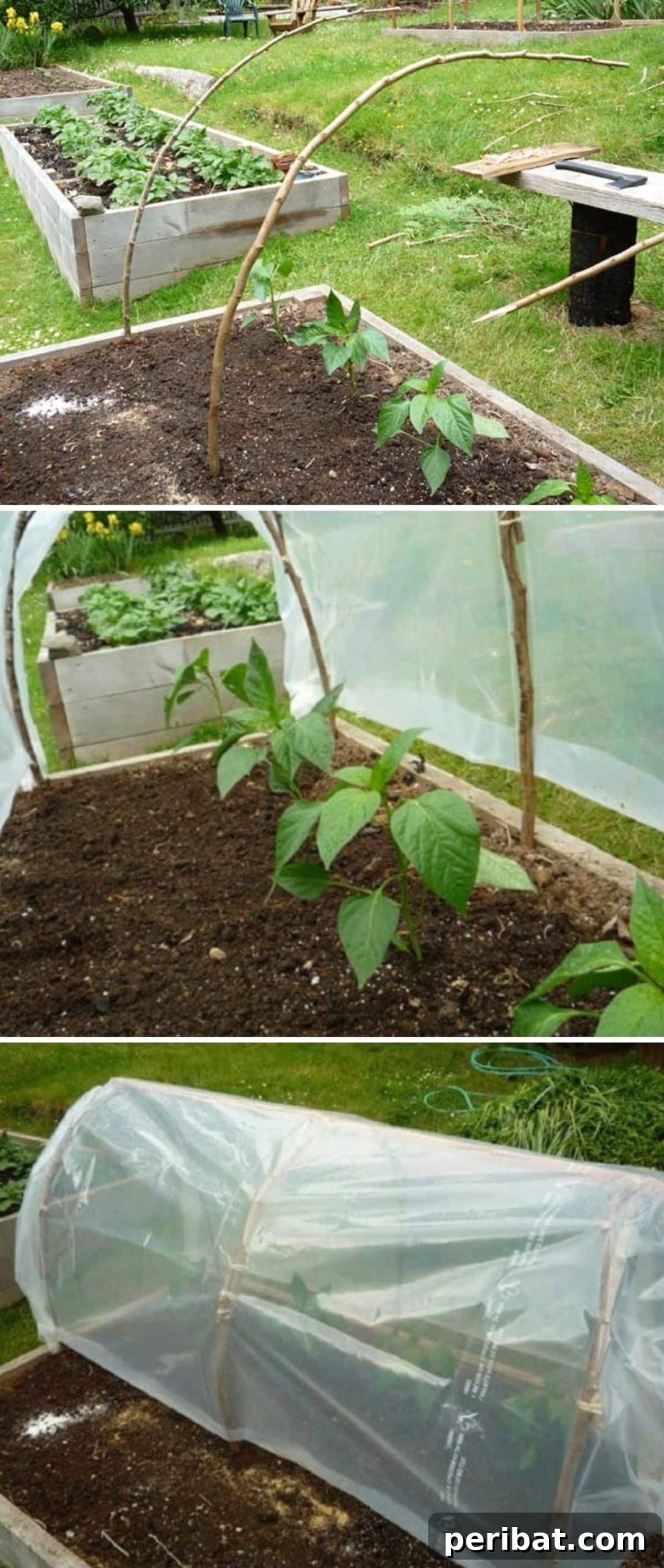 DIY Instant Cloche Greenhouse