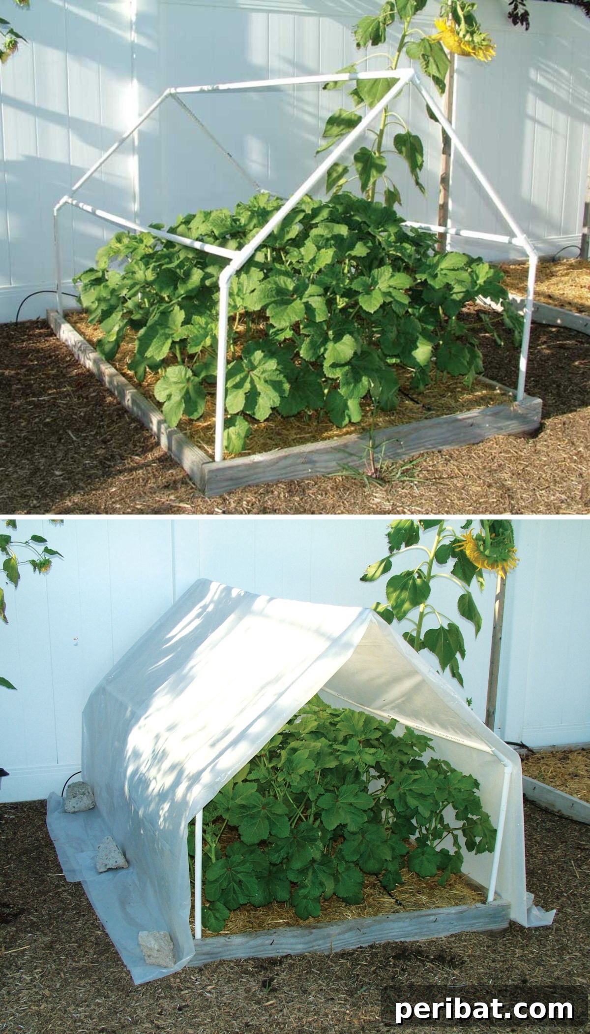 Easy A Frame Mini Greenhouse