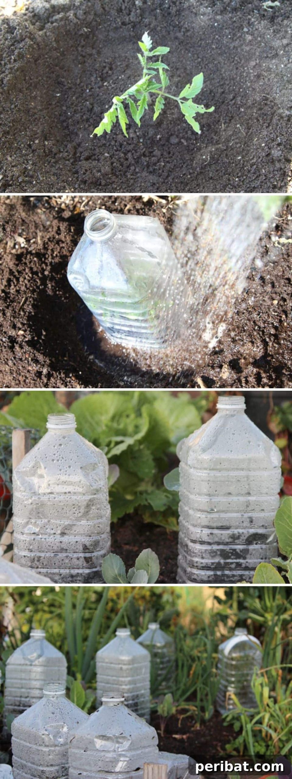 Mini Bottle Greenhouse