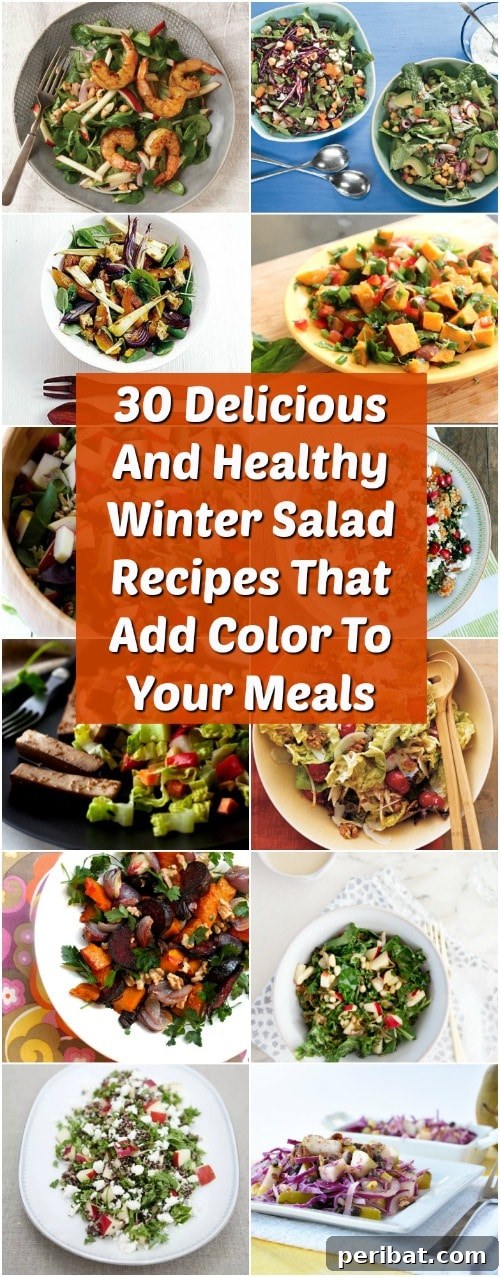 30 Delicious And Healthy Winter Salad Recipes That Add Color To Your Meals 