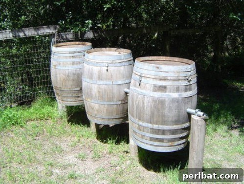 Easy Weekend Compost Bins You Can Build on a Budget 34 Charming rotating compost station made from upcycled wine barrels.