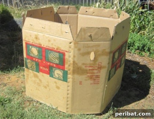 Easy Weekend Compost Bins You Can Build on a Budget 7 Eco-friendly compost bin crafted from a repurposed large cardboard bulk box.