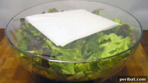 Use a Paper Towel when Storing Lettuce - 40 DIY Tricks To Make Your Groceries Last As Long As Possible