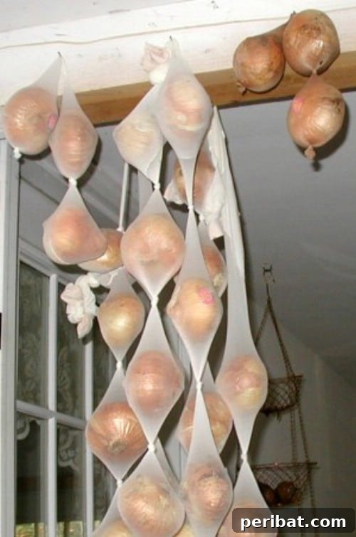 Store Onions in Pantyhose - 40 DIY Tricks To Make Your Groceries Last As Long As Possible