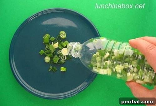 Freeze Green Onions in Plastic - 40 DIY Tricks To Make Your Groceries Last As Long As Possible
