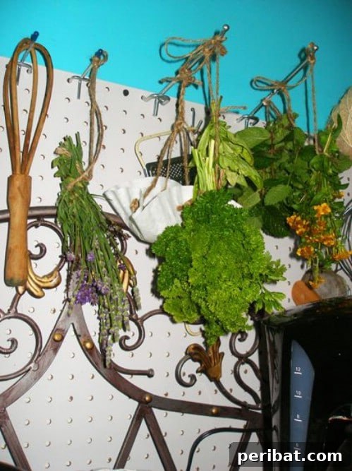 Store Oily Herbs in the Pantry - 40 DIY Tricks To Make Your Groceries Last As Long As Possible
