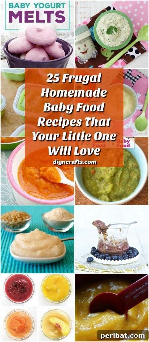 25 Money Saving Homemade Baby Food Recipes That Your Little One Will Love