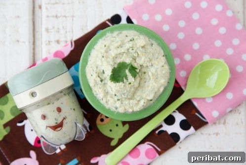 Chicken, Corn And Cilantro Baby Food