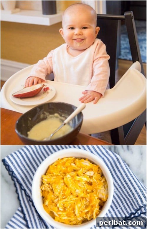 Chicken And Carrots Baby Food Puree