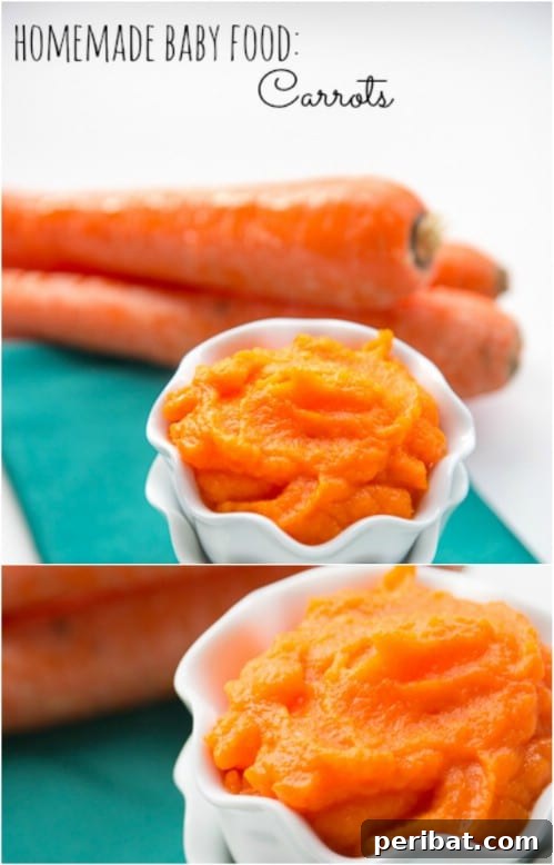 Pureed Carrots for Baby Food