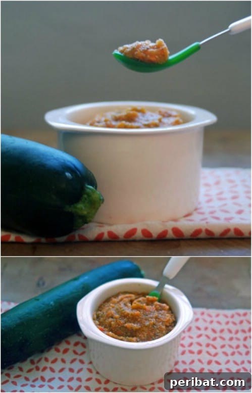 Easy Quinoa Ratatouille for Babies