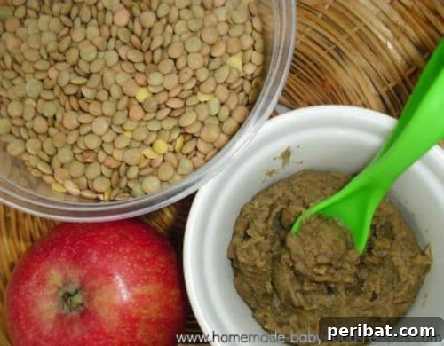 Spiced Apple And Lentil Baby Puree