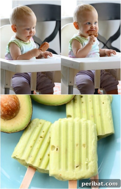 Homemade Avocado Baby Food Popsicles