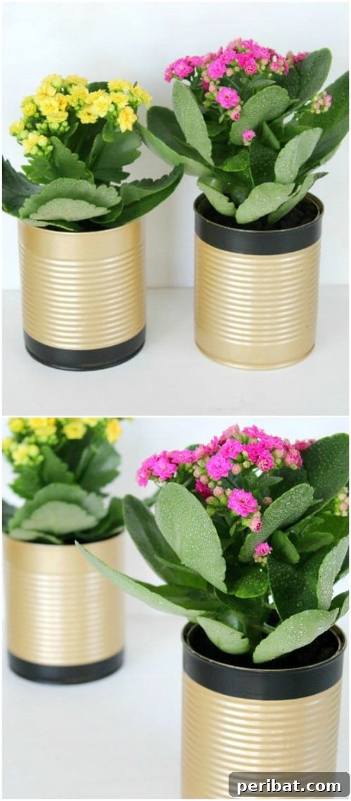 40 Life Changing Spray Paint Transformations 12 Soup Can Flower Pots