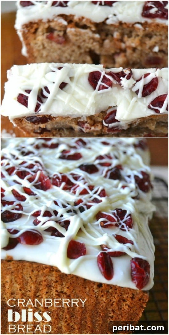 Starbucks Inspired Cranberry Bread