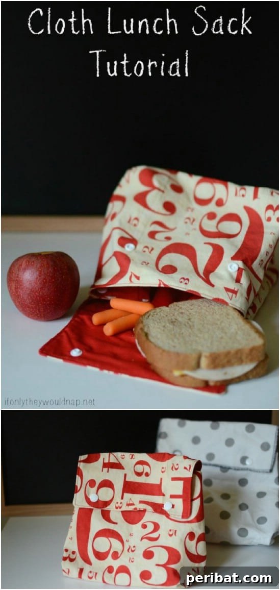 Craft Quick Lunch Bags and Pouches for Everyone 5 Easy To Sew Cloth Lunch Sack with Snap Closure