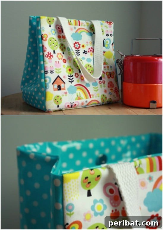 Craft Quick Lunch Bags and Pouches for Everyone 6 DIY Handled Customizable Lunch Sack with Optional Pocket