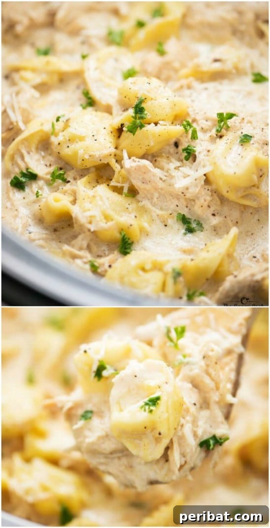25 Effortless & Wholesome Crock-Pot Dinners 16 Slow Cooker Chicken Alfredo Tortellini