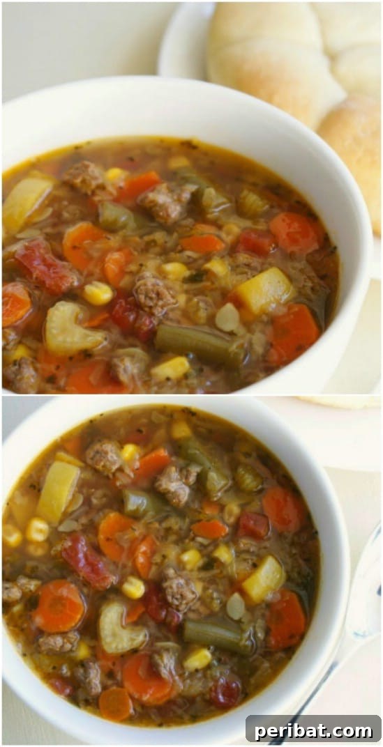 25 Effortless & Wholesome Crock-Pot Dinners 27 Easy Slow Cooker Beef Soup