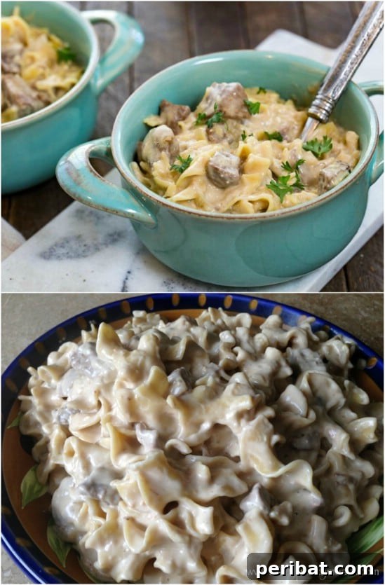 25 Effortless & Wholesome Crock-Pot Dinners 4 Easy Slow Cooker Beef Stroganoff