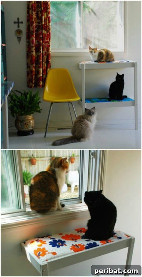 Cat perch made from a repurposed changing table