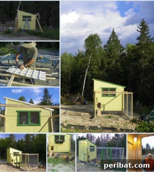 Weekend Chicken Coops: 20 Free DIY Plans for Quick Builds 14 Spacious multiple roost chicken coop for a larger flock.