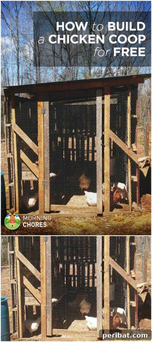 Weekend Chicken Coops: 20 Free DIY Plans for Quick Builds 18 Eco-friendly scrap lumber chicken coop, built with repurposed wood.