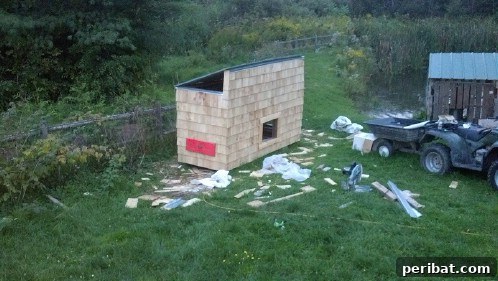 Weekend Chicken Coops: 20 Free DIY Plans for Quick Builds 22 Economical DIY upcycled pallet chicken coop, easy to construct.